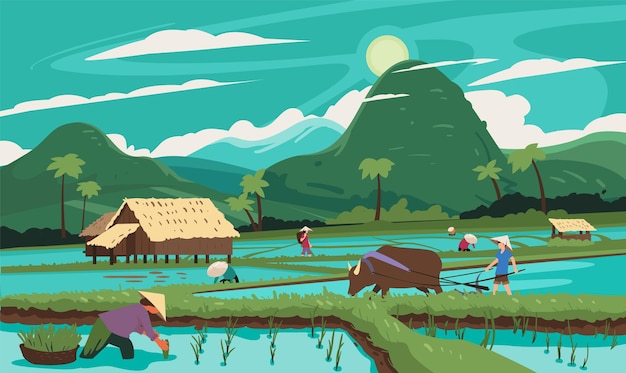 Vector thailand rice terraces agricultural sceneries rice fields with asian farmers vector illustration