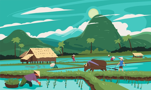 Thailand Rice terraces agricultural sceneries Rice fields with asian farmers Vector illustration