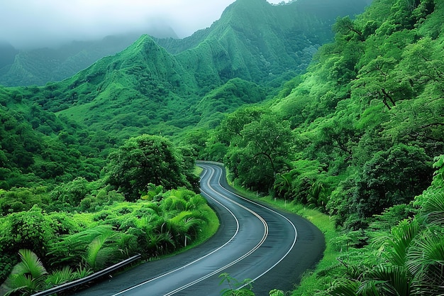 This Zig Zag of road East Sikkim was used to Trade silk with india and China