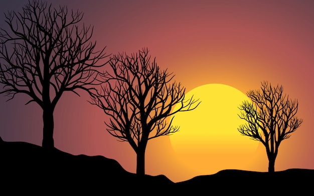 Three dead trees sunset landscape