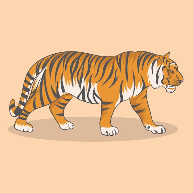 Tiger. Vector illustration. EPS 10