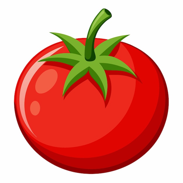 Tomato clipart cartoon style vector illustration