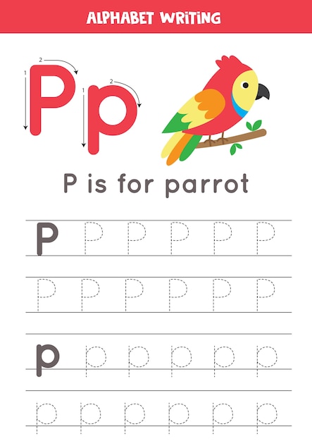 Tracing all letters of English alphabet. Preschool activity for kids. Writing uppercase and lowercase letter P. Cute illustration of colorful parrot. Printable worksheet.