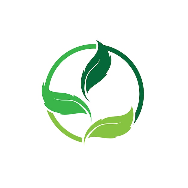 Tree leaf vector logo design eco friendly concept