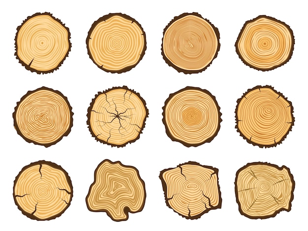 Tree trunk cross section Round pine logs forest wood circle and tree rings vector illustration set