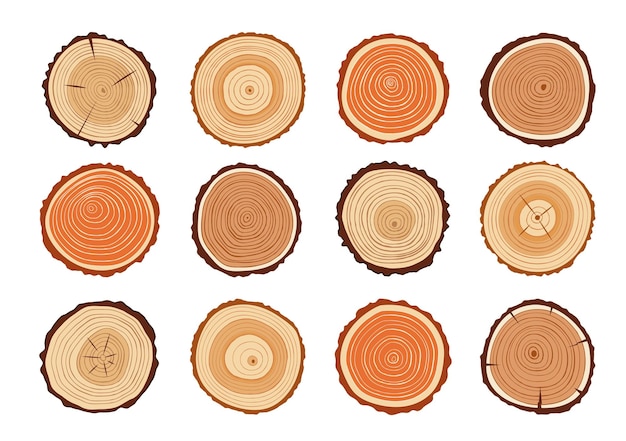 Tree trunks wood cut with annual rings texture