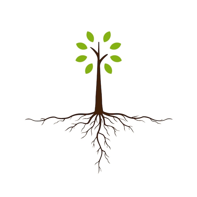 Tree with roots and foliage Vector illustration