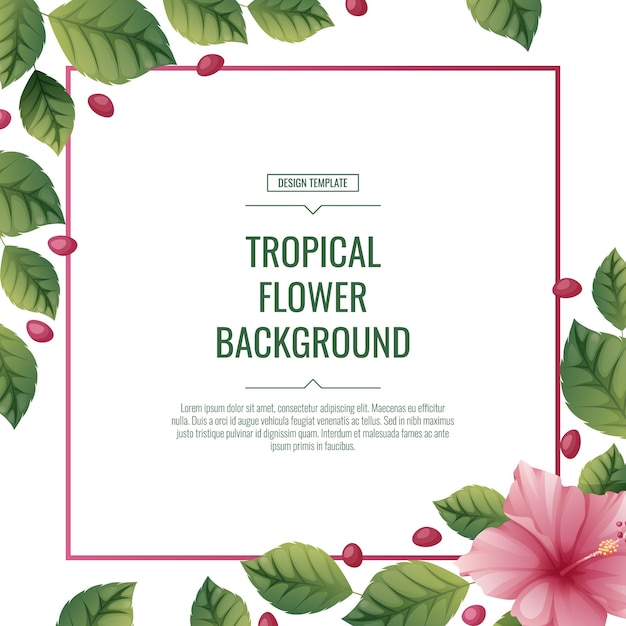 Tropical background with pink hibiscus flowers Poster placard banner flyer with tropical plants