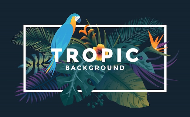 Vector tropical background