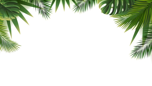 Tropical Leaves Border Isolated White Background With Gradient Mesh, Vector Illustration