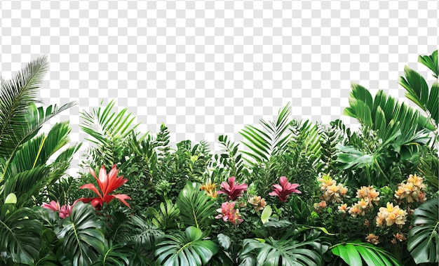 Vector tropical leaves and flowers border with transparent background