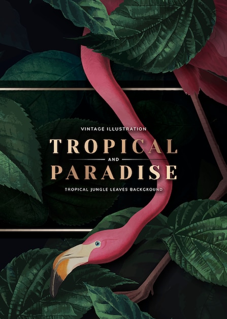 Vector tropical paradise card