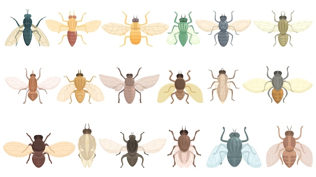 Tsetse fly icons set cartoon vector Dangerous disease