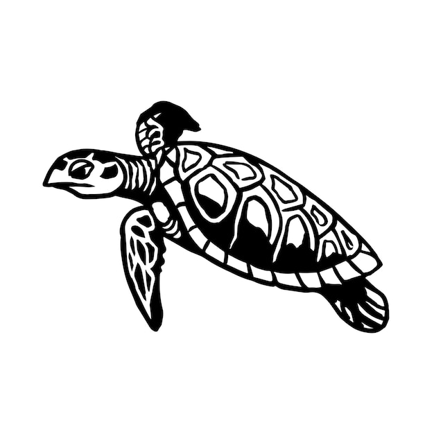 Turtle sketch style Sea animal