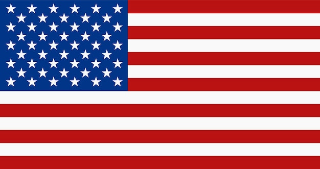 Vector united states flag vector illustration