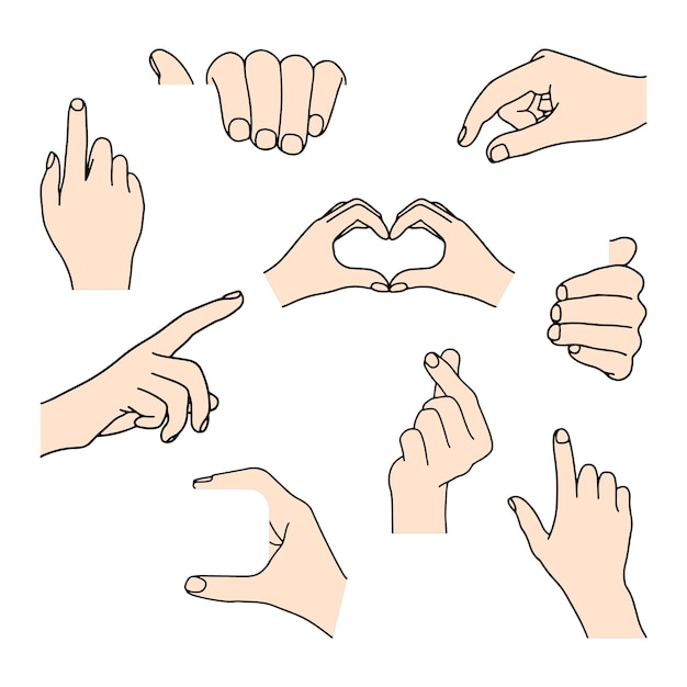 Vector various hand shape and gesture illust elements