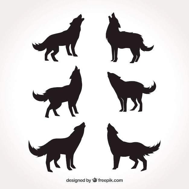 Vector various silhouettes of wolves
