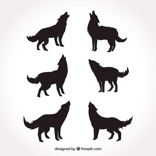 Various silhouettes of wolves