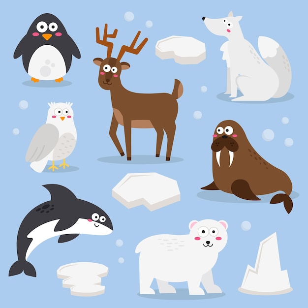 Vector vector of animals including a polar animal cartoon