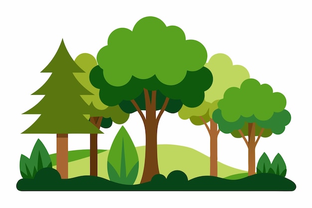 Vector vector art of forest on white background