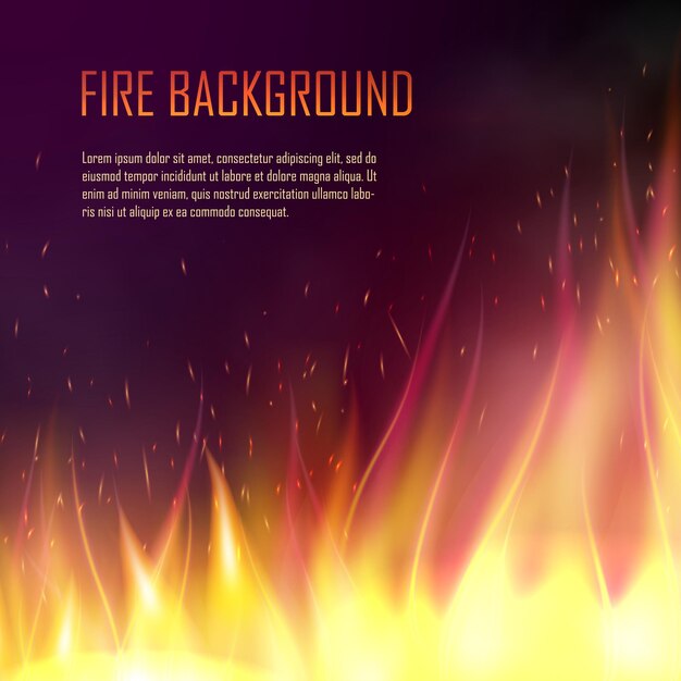 Vector vector banner with realistic fire