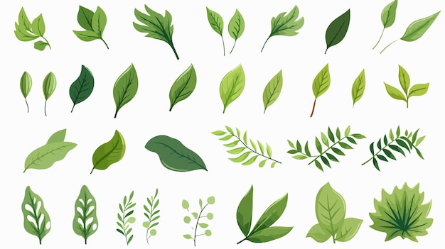 Vector vector cartoon style set of green leaves isolated