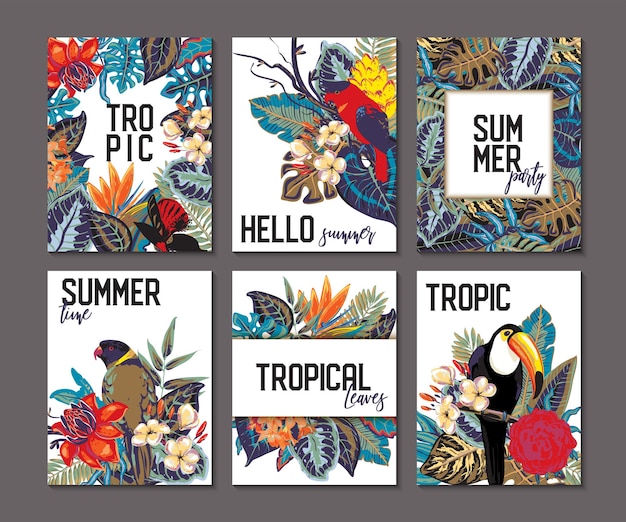 Vector vector collection with six cards notes and banners with toucan exotic flowers plants and leaves