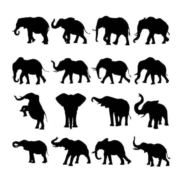 vector elephant silhouette collection