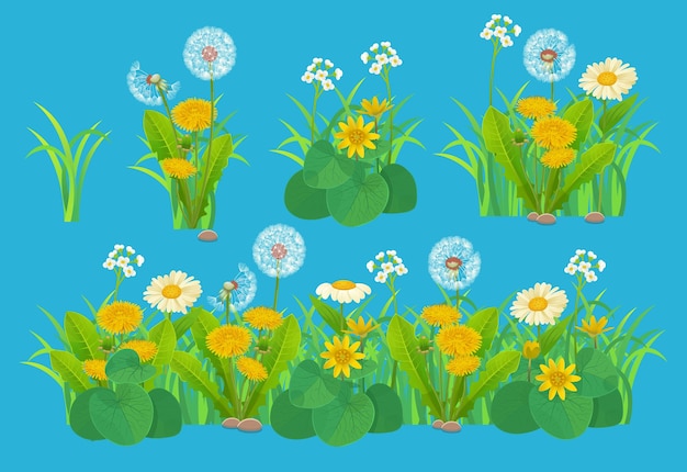 Vector green grass set with flowers yellow dandelion fluffy dandelion buttercups Grass bunch a