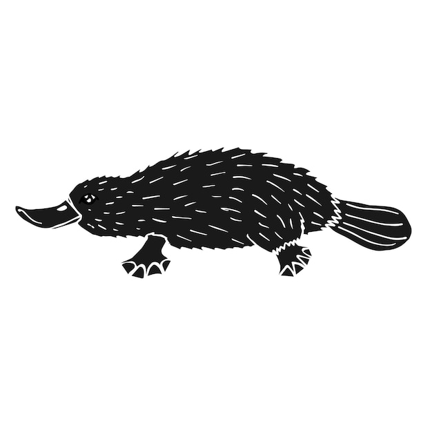 Vector hand drawn black Platypus duckbill