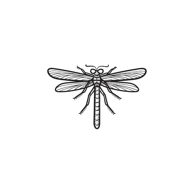 Vector hand drawn dragonfly outline doodle icon. Dragonfly sketch illustration for print, web, mobile and infographics isolated on white background.