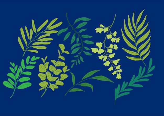 Vector Illustration of 8 Green Leaves Variation