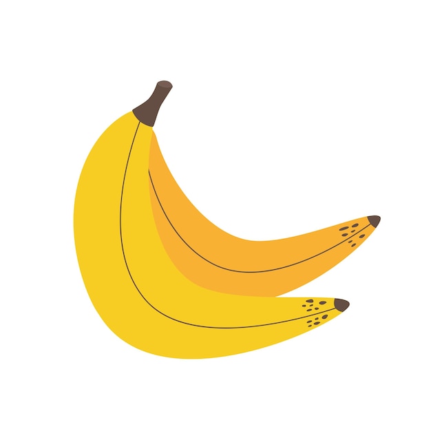 Vector illustration of bananas on a white background Handdrawn fruits in bright colors