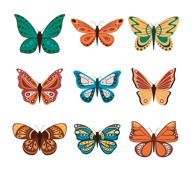 Vector illustration of cartoon butterflies isolated on white background Abstract butterflies colorful flying insect