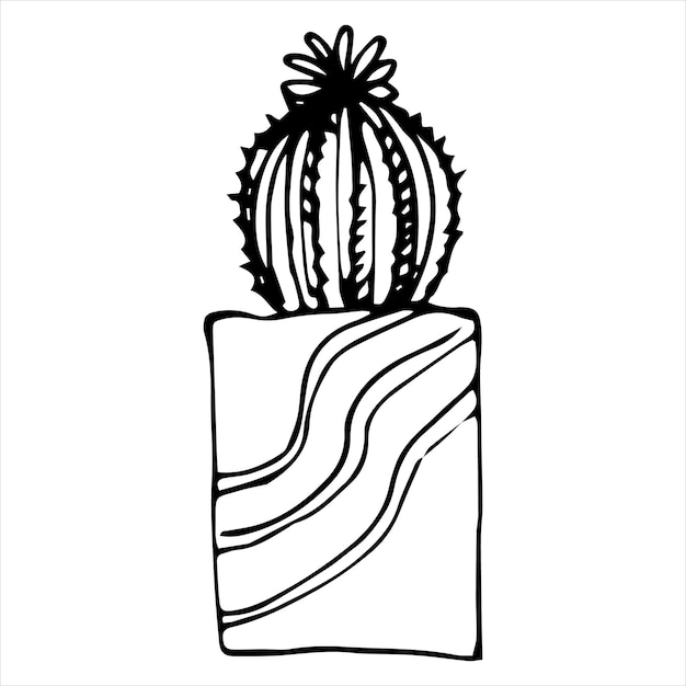 Vector illustration of cute cactus doodles in pots