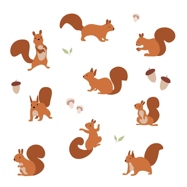 Vector vector illustration. a set of cheerful squirrels who eat nuts and walk.