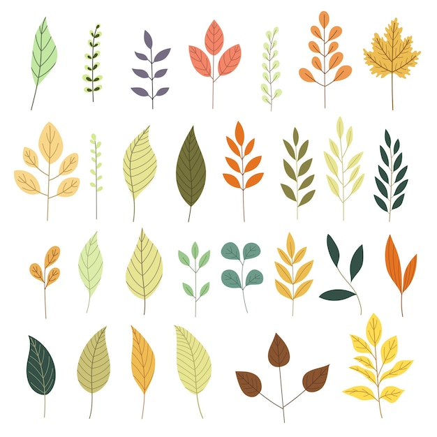 Vector vector illustration set of simple leaves