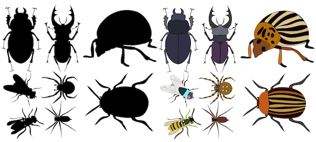 Vector isolated insects beetles silhouette set