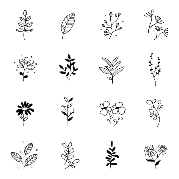 Vector Leaf and Flowers with White Background