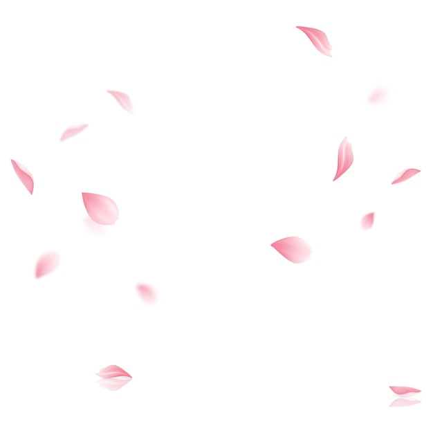 Vector vector sakura flying petals on transparent background