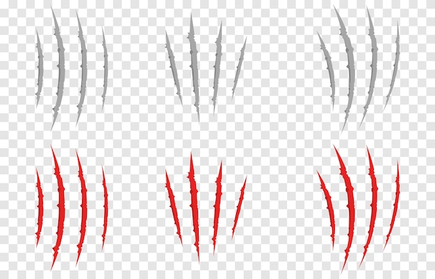 Vector scratches from the claws of the animal PNG. Set of various scratches png.