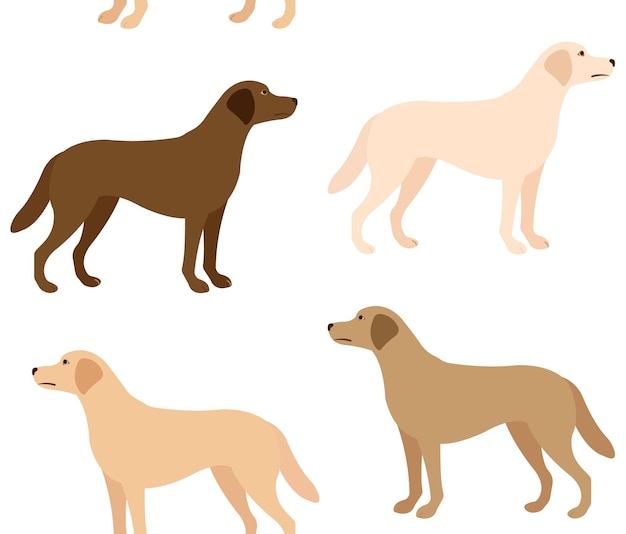 Vector vector seamless pattern of flat labrador dog