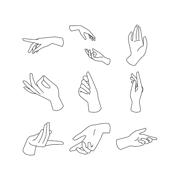 Vector vector set of delicate womens hand in linear style female hands in various gestures