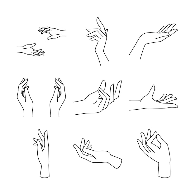 Vector vector set of delicate womens hand in linear style female hands in various gestures