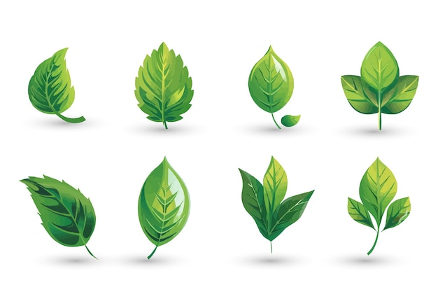 vector set of different isolated green leaves icon white background