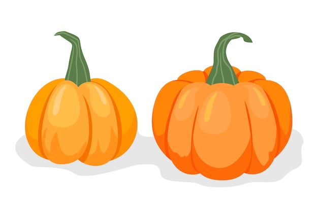 Vector set of orange pumpkins isolated on a white background Autumn halloween pumpkin vegetable graphic icon or print