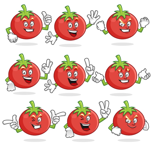 vector set of tomato mascot