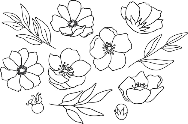 Vector set of wildflowers Hand drawn bundle