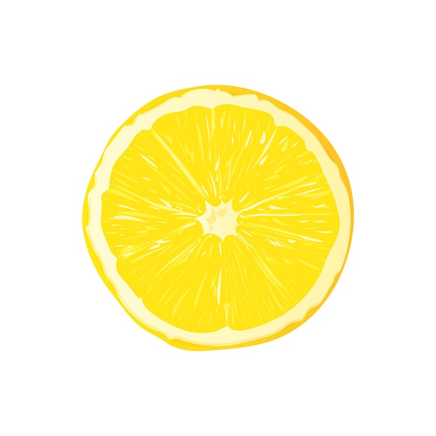 Vector vector slice ripe lemon citrus fruit on a white