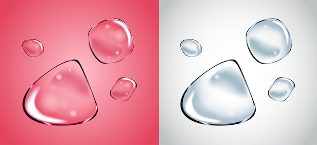 Vector Soap Water Bubbles Set Transparent Isolated Realistic Design Elements Can be used with any Background